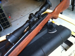 crosman 1077w airgun