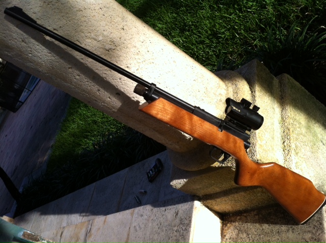 crosman 262 sporter