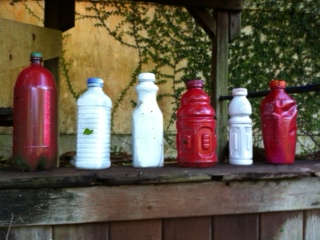 picture of airgun targets