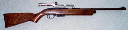 picture of the Crosman 1077w